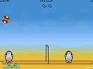 Penguin smash online sport játék